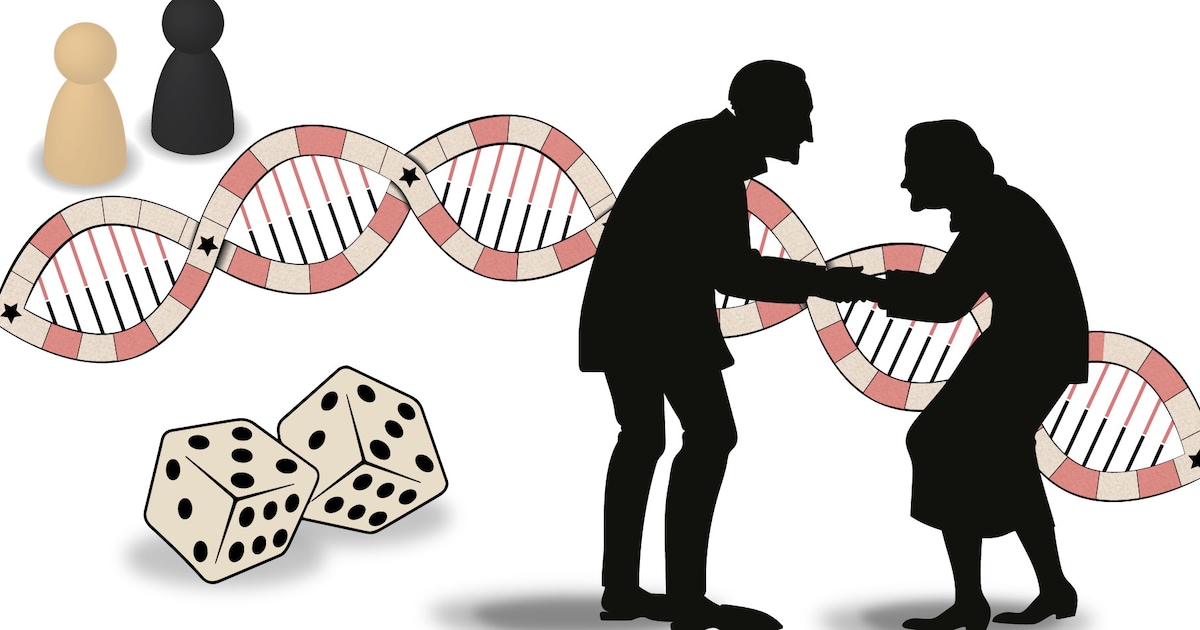 Wat zijn de geheimen van families die heel oud worden? Speel mee en kom erachter