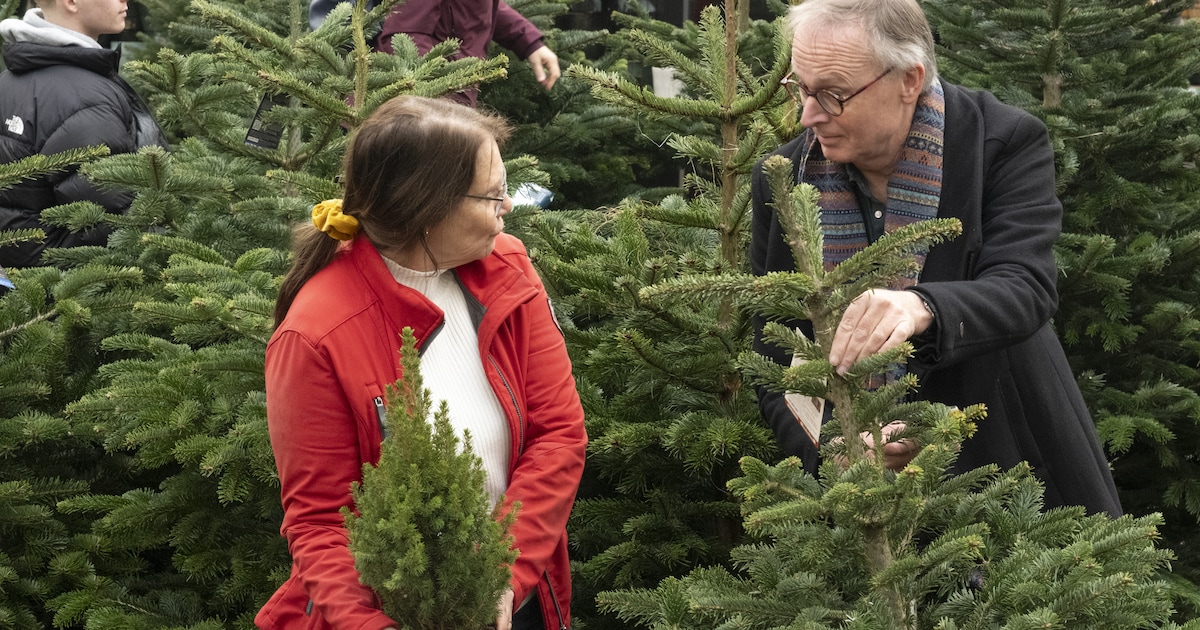 Een Duurzame Kerst En Een Betaalbaar Kerstdiner Zo Doe Je Dat Trouw