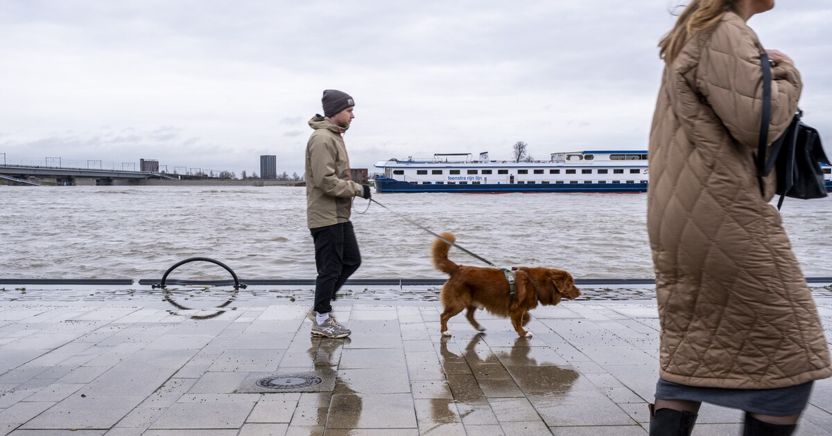 De IJssel slinkt en de Waal groeit. Wat betekent dat voor onze waterhuishouding?