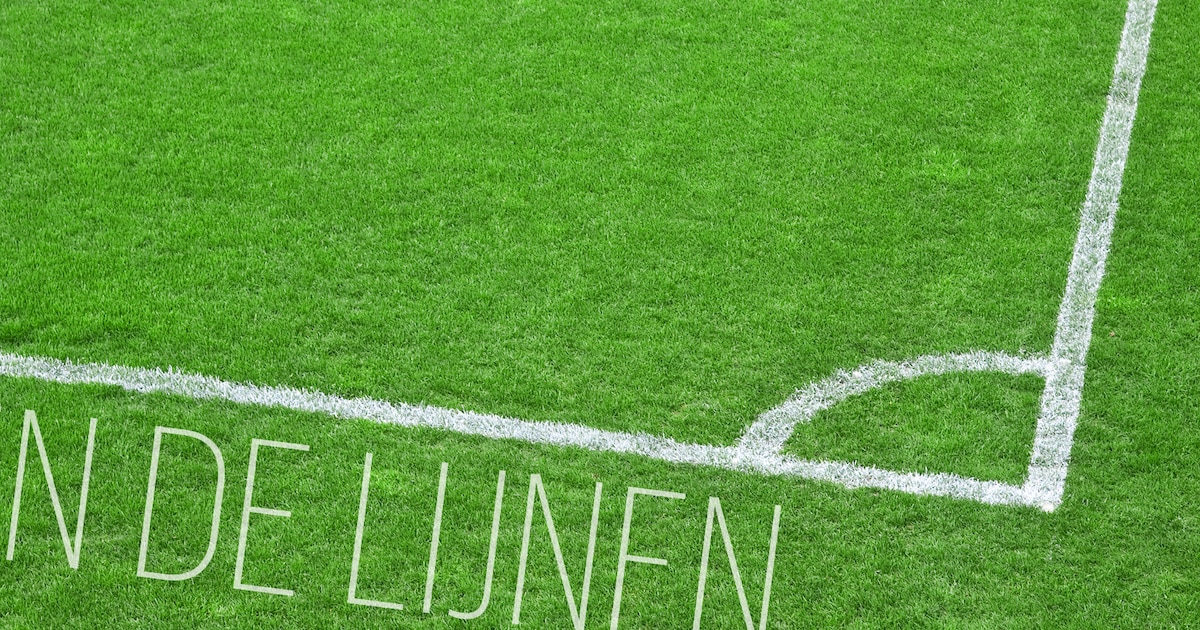 Sportdrama in Japan: Twee Doden en Een Vechter in Coma na Bokstoernooi