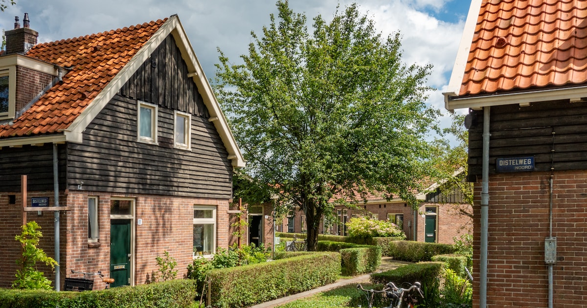 Honderd jaar tuindorpen: wonen in de stad met de beleving van een dorp