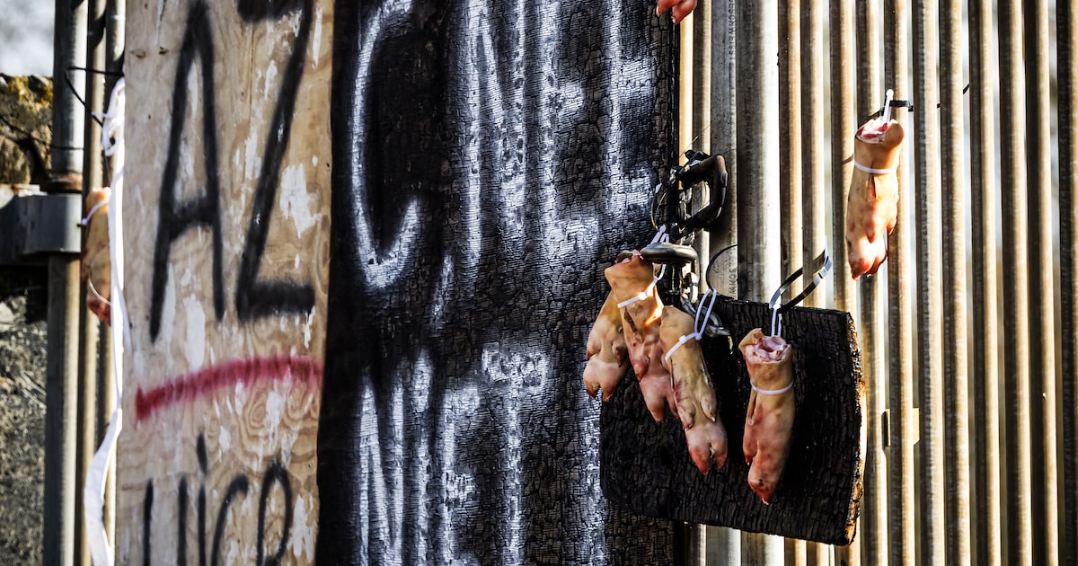 Volle zalen, vandalisme en intimidatie: het azc-protest is terug