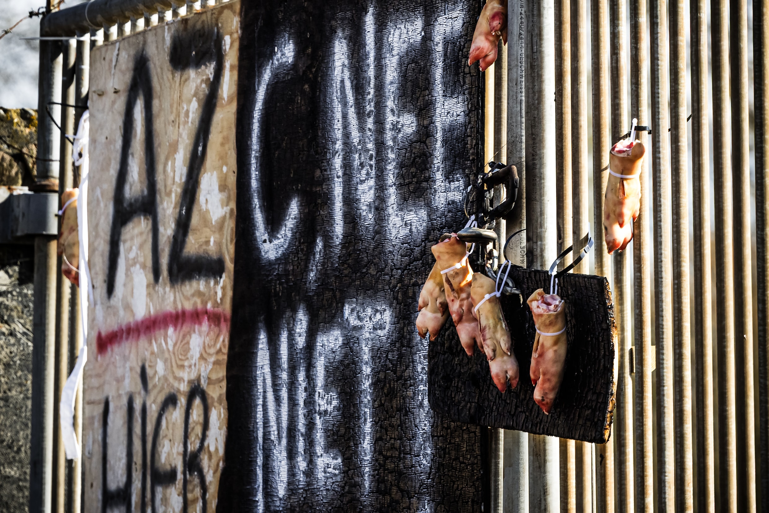 Volle zalen, vandalisme en intimidatie: het azc-protest is terug | Trouw