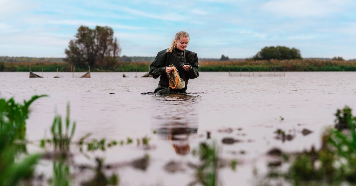 Natte tijden, droge tijden: wat doet het bewegende water met de natuur?