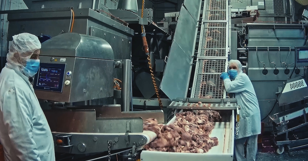 Recensie: ‘Food for Profit’ gaat over wat er mis is met vleesproductie, maar veel mensen zal het worst wezen