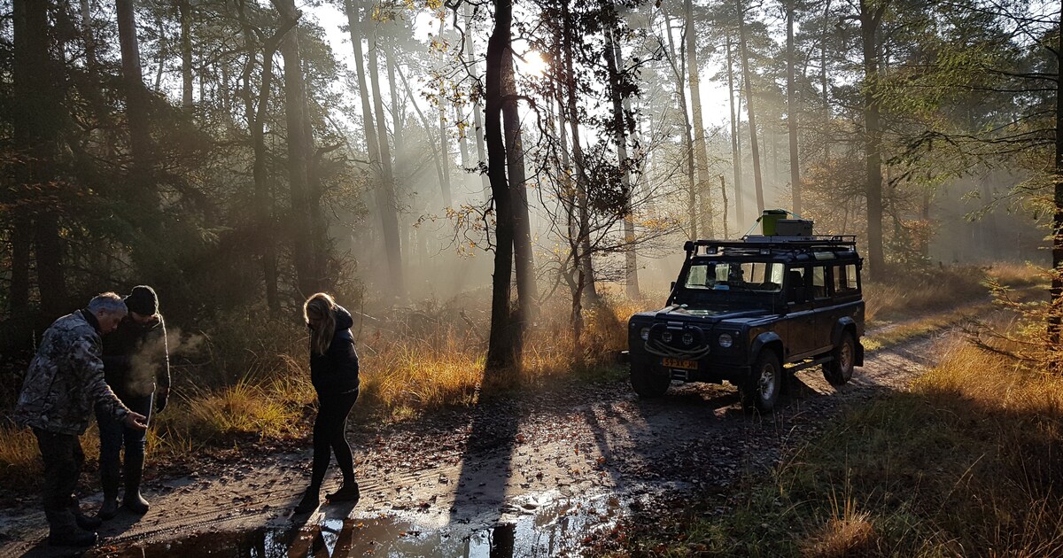 Op expeditie op de Veluwe: zoeken naar wild, wakker worden met herten