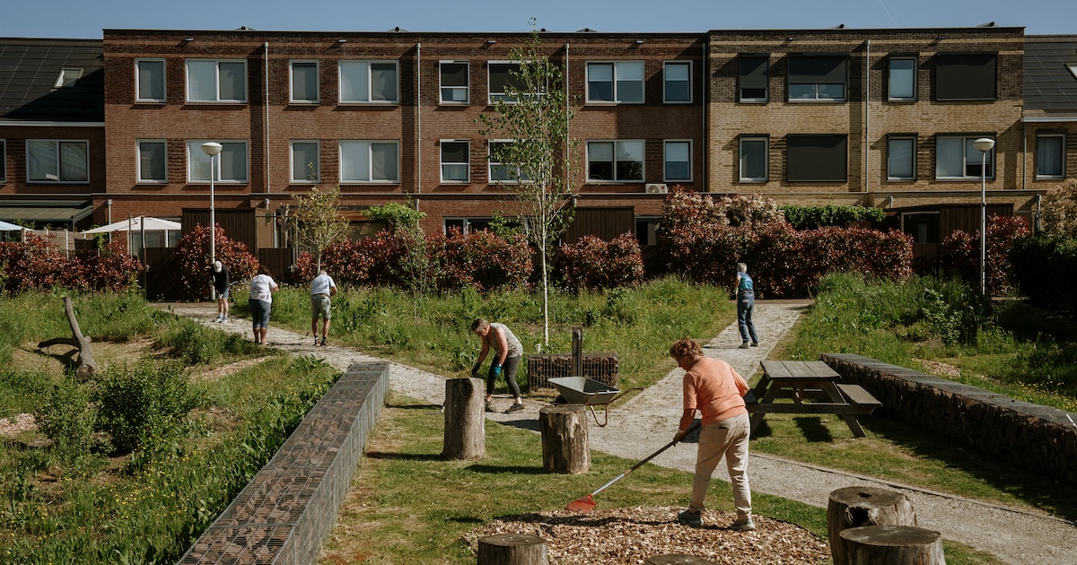 In deze natuurvriendelijke nieuwbouwwijk doen ze niet aan schuttingen
