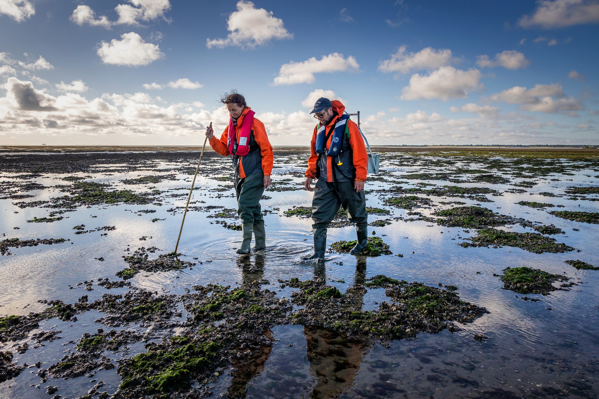 We wilden de mosselbanken een handje helpen, maar de natuur blijkt het ...