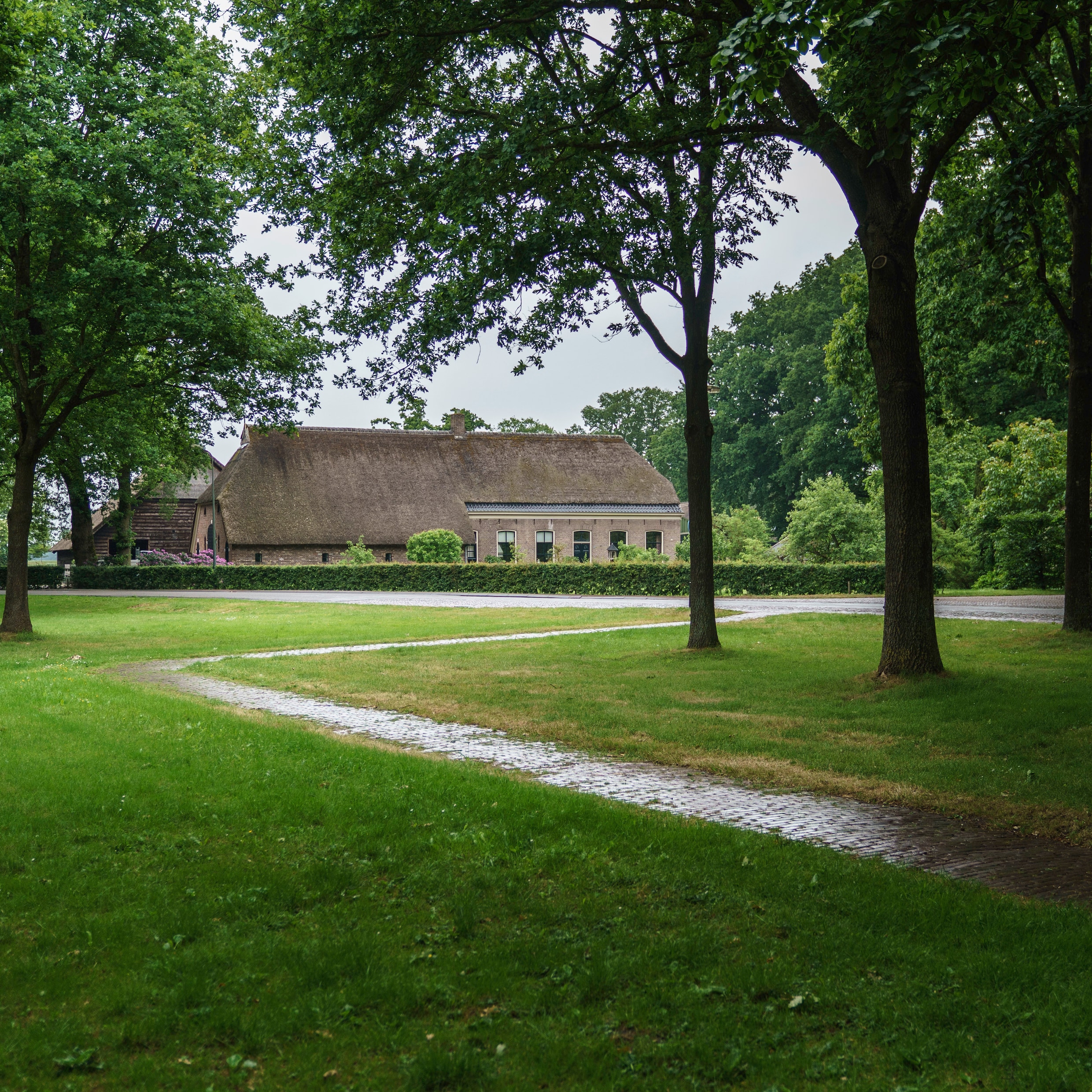 Door slim te bouwen – en niet in weilanden – blijven ook vergrijzende dorpen  levendig | Trouw