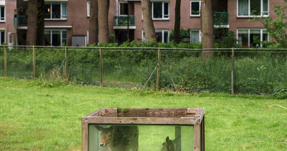 Ook in een mooi esdorp kan je bouwen, als de bewoners maar kunnen meedenken
