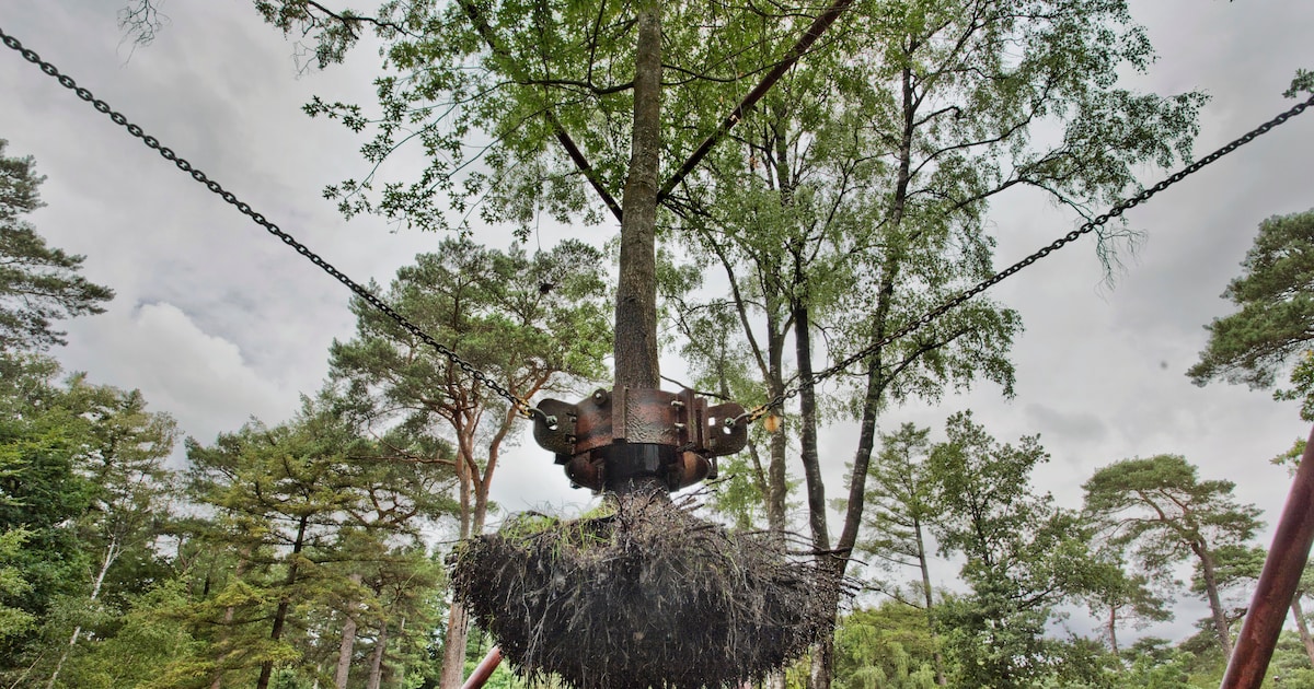 ‘Het grote geld’ van Blackstone neemt ook dit recreatiepark over. Verdwijnt dan de saamhorigheid?