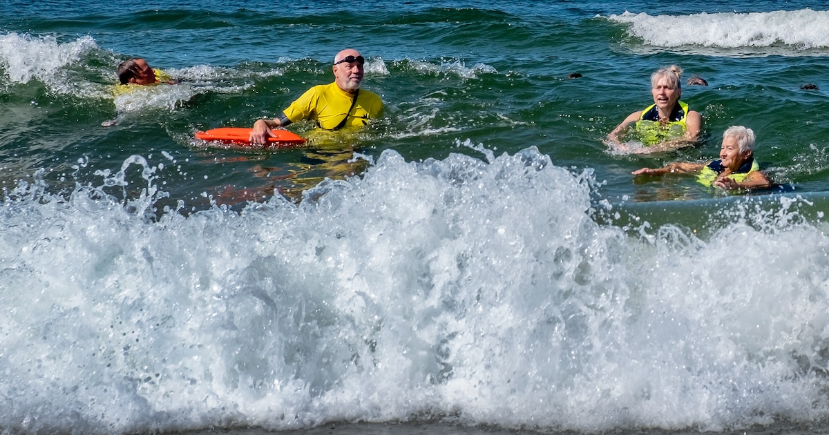 Hoe overleef je een gevaarlijke muistroom op zee? ‘Tel even tot tien’