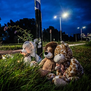 Volgens rechter voldoende duidelijk waarom zo veel agenten de interne politiesystemen raadpleegden in Lisa-zaak