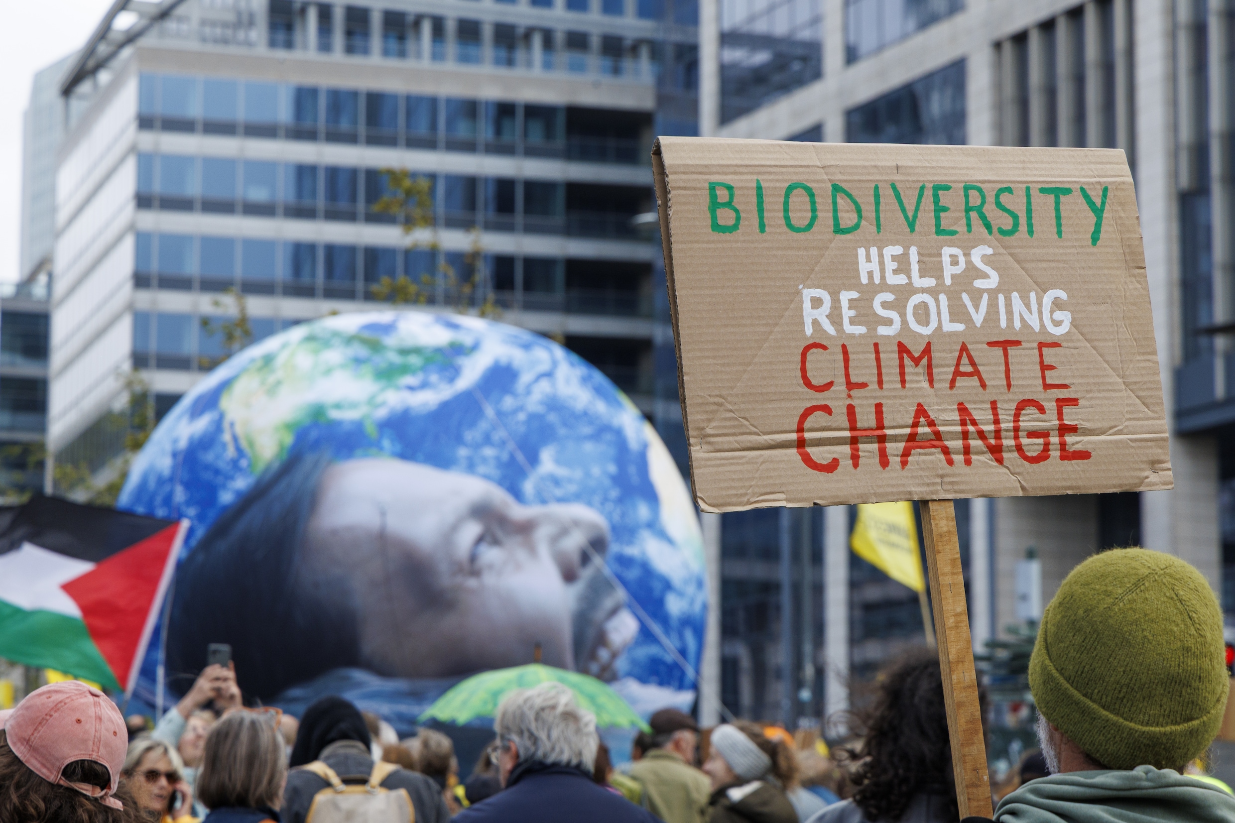 EU schroeft klimaatambities terug met waterig compromis | Trouw