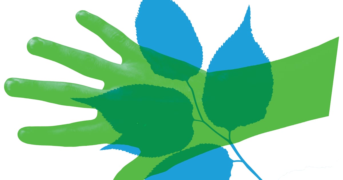 De mens is losgezongen van de natuur. Maar juist een bedrijf of organisatie kan daar best iets tegen