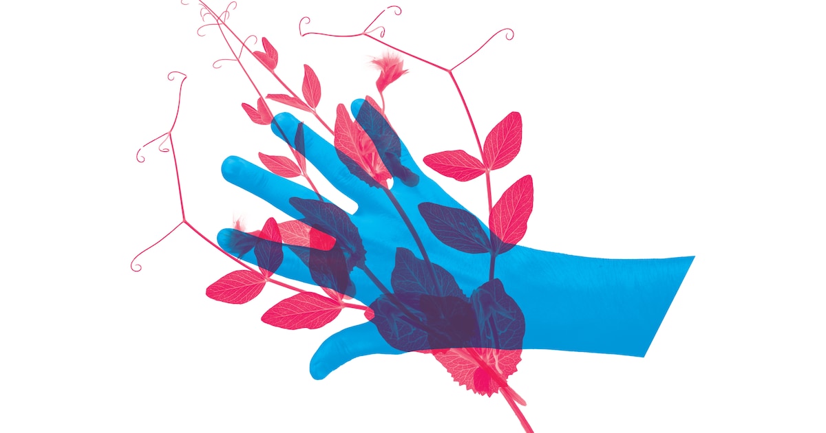 Nominatie Duurzame 100: Rosanne en Tijne (17) willen de natuur op het eiland Veur-Lent een stem geve