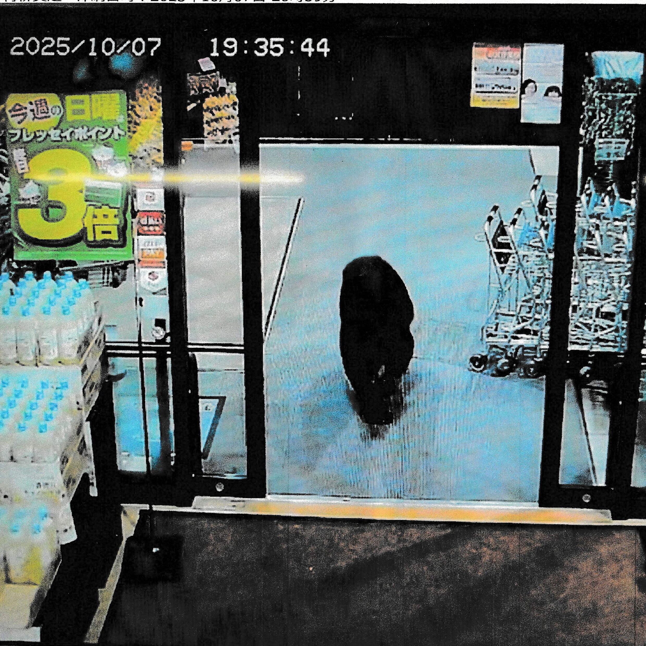 Vorige maand verwondde een beer twee bezoekers van een supermarkt in Numata, ten noordwesten van Tokyo. Beelden van een bewakingscamera deden de ronde op media.