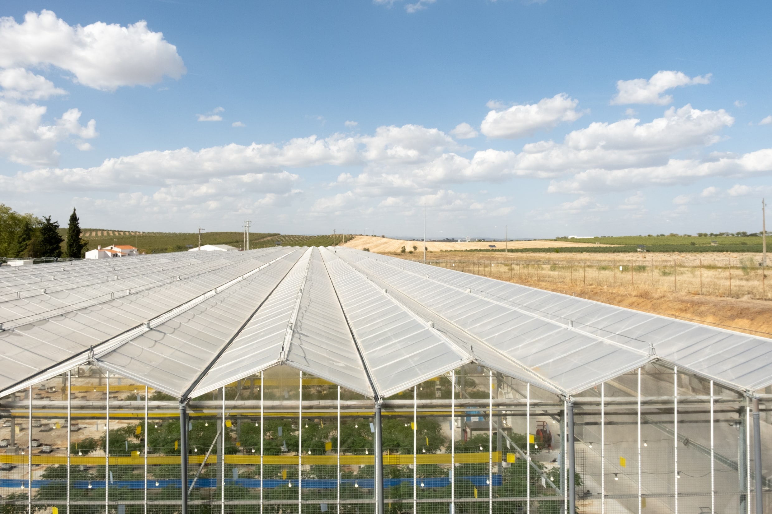 De wietkassen van farmaceutisch bedrijf Medicane in Alentejo.