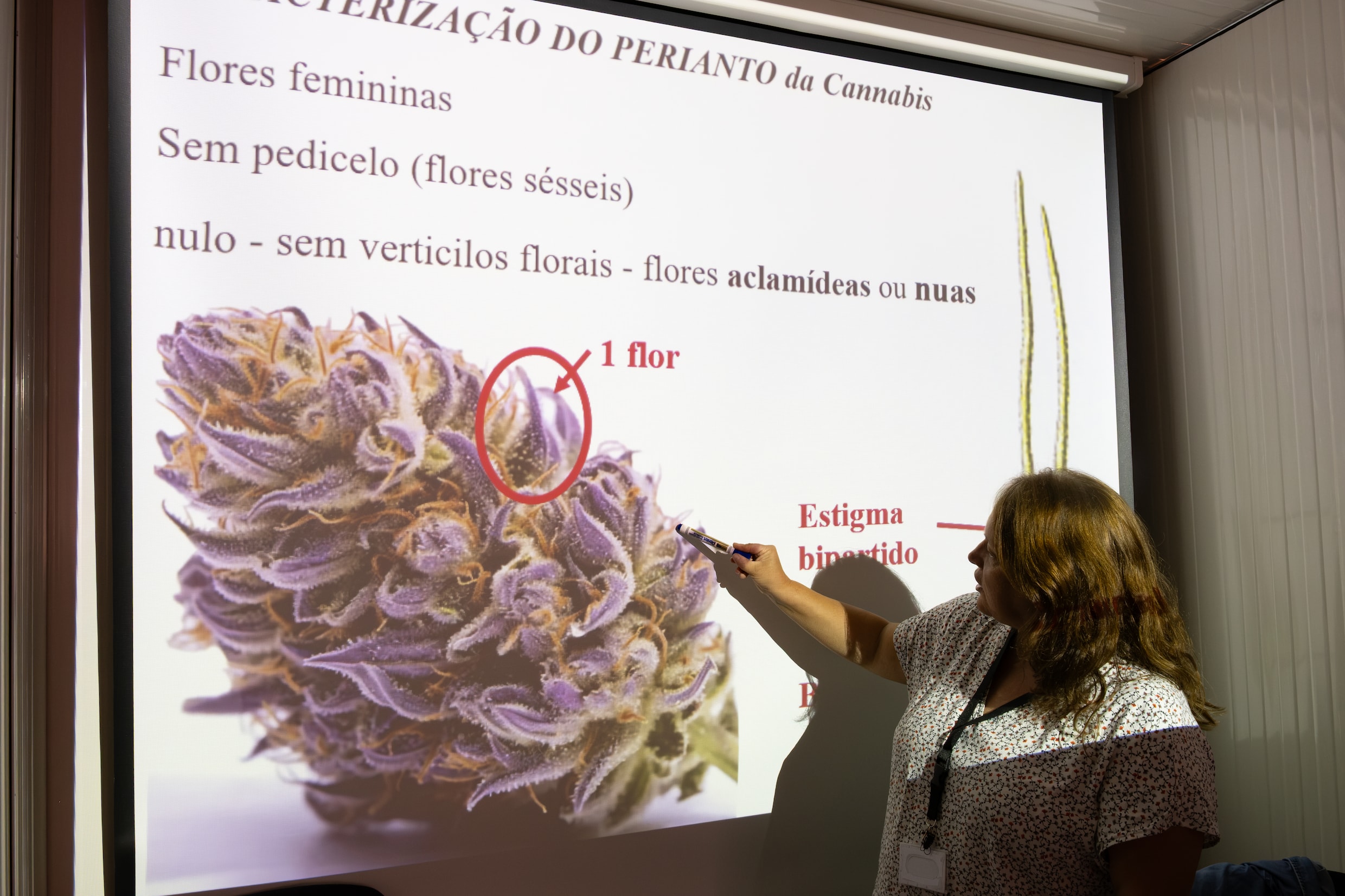 Hoogleraar plantbiologie en bosbouwkunde Orlanda Povoa legt het een en ander uit over de wietplanten en -bloemen.