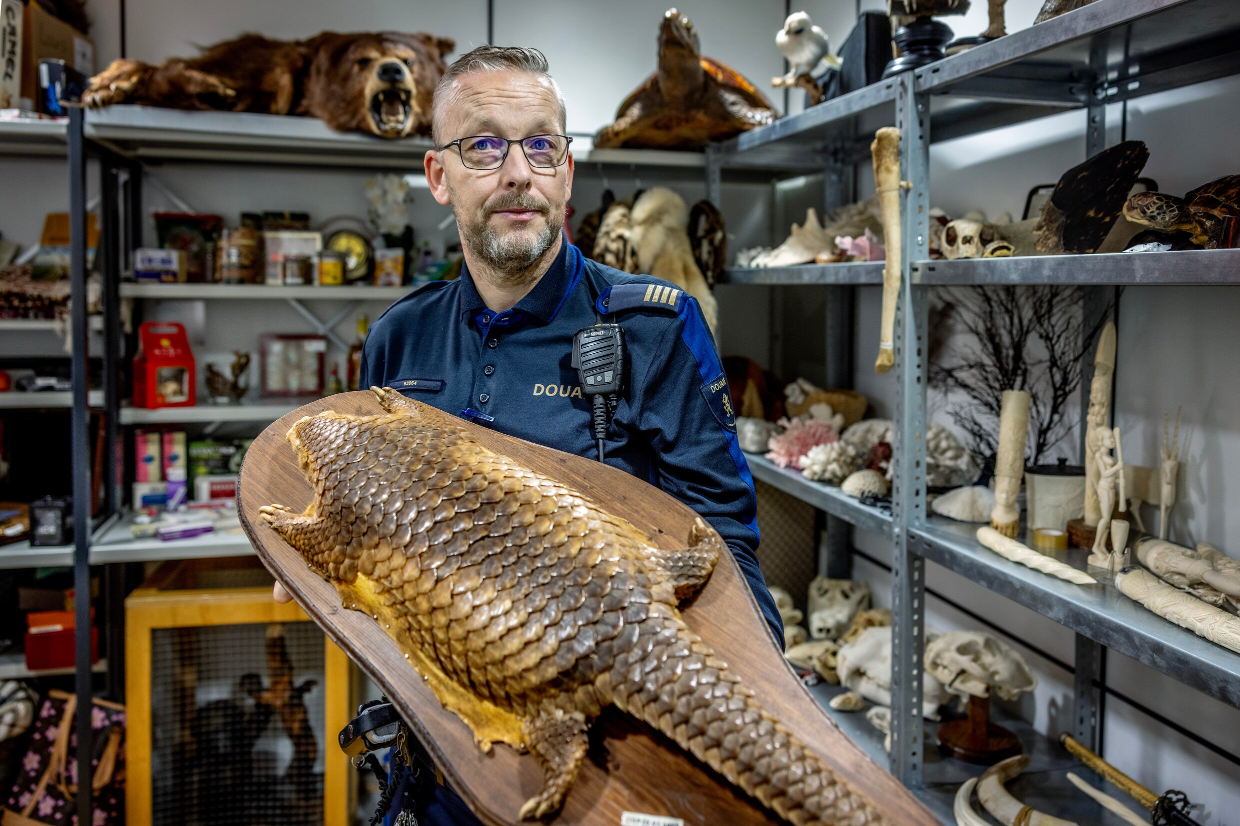 Douanier Niels toont een in beslag genomen opgezet schubdier.