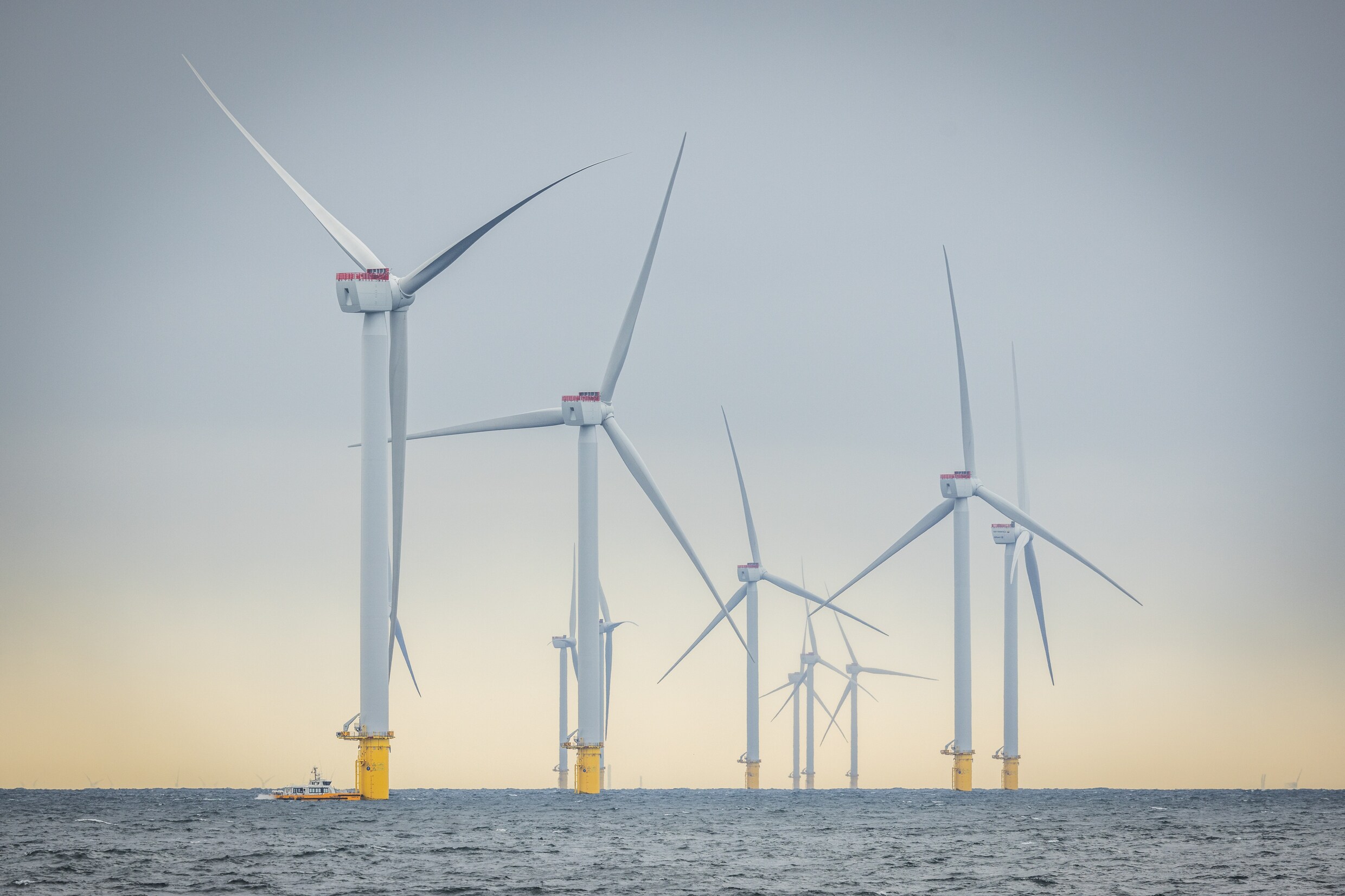 Turbines van het windpark Hollandse Kust Zuid dat zonder subsidie is aangelegd en in 2023 in gebruik is genomen. Voor de bouw van het park Nederwiek, dat in 2030 had moeten verrijzen in de Noordzee, was geen belangstelling.