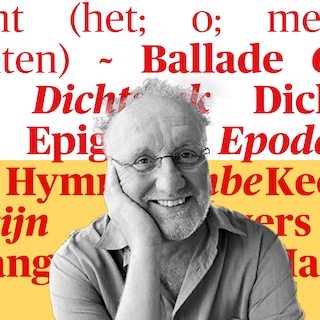 Hoop, verdriet en cynisme: Anne Provoost schetst het verhaal van een aangespoelde vluchteling