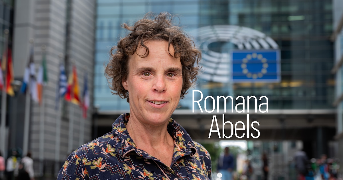 Een lesje Brusselse taal: commissie kan heel veel betekenen, maar wat is een trialoog?