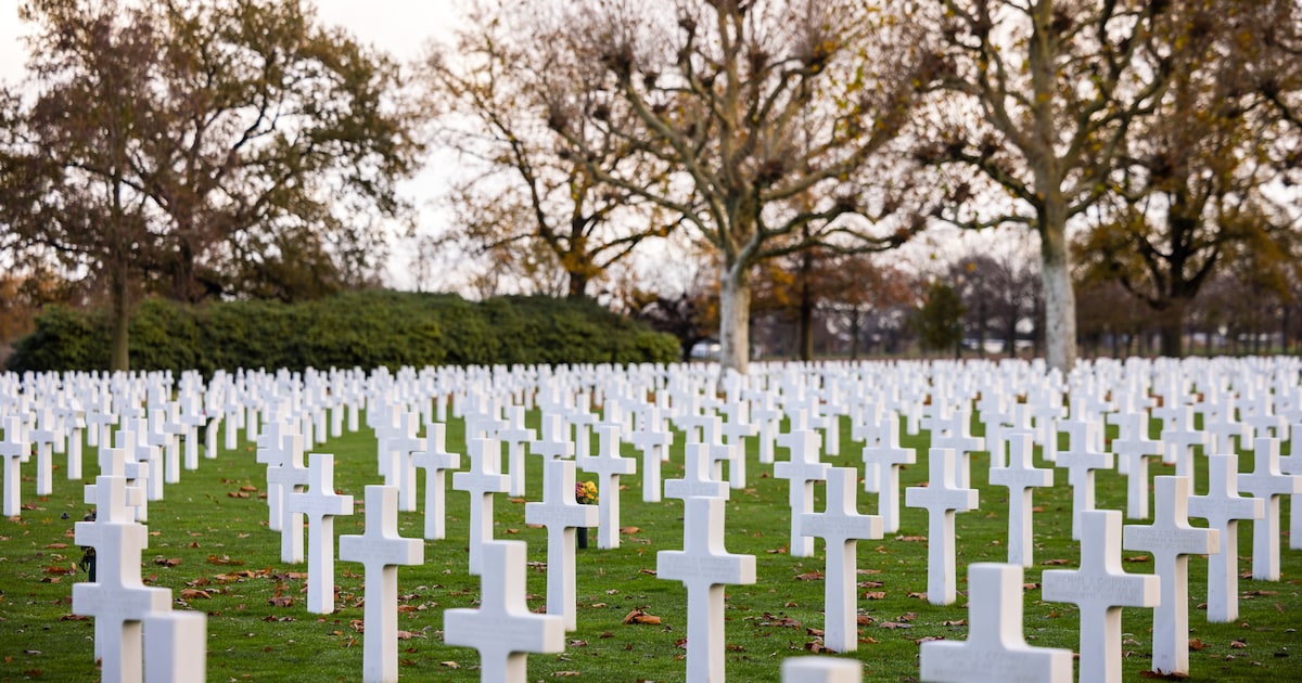 Oorlogsmusea verzoeken Amerikaanse ambassadeur: zet panelen terug