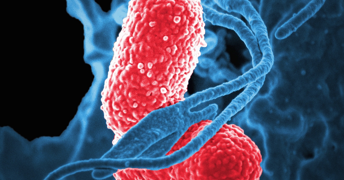 Maintenant que les bactéries deviennent de plus en plus insensibles aux antibiotiques, de nouveaux agents sont désespérément nécessaires. Mais qui va le développer ?