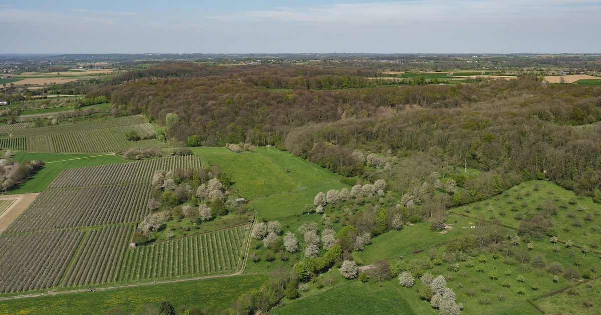 Eijsden-Margraten kan rechten voor de natuur niet in wet verankeren