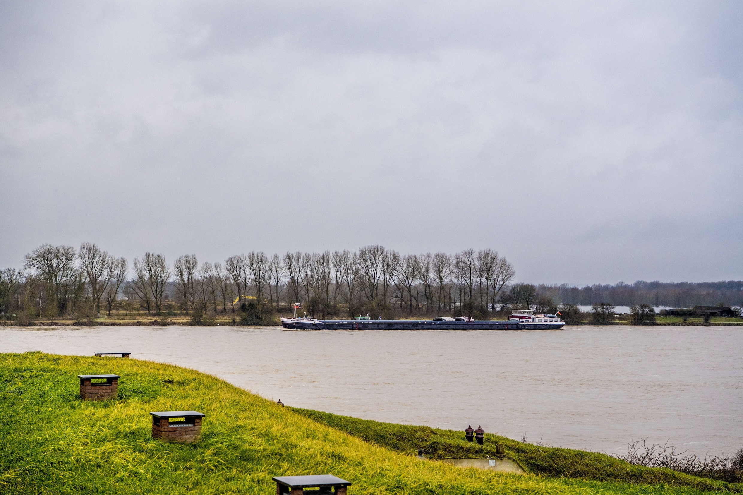 Zal de Rijn ooit weer de beste zalmrivier van Europa worden? | Trouw