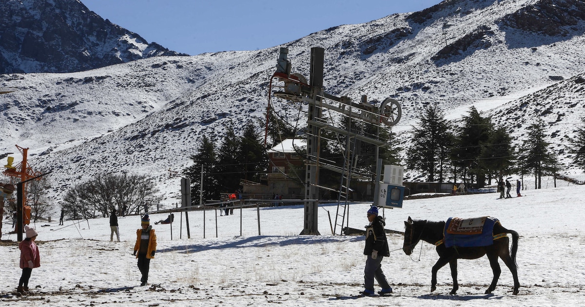 Aanhoudende regen en een dik pak sneeuw in de bergen kleuren Marokko na zeven jaren van droogte eind