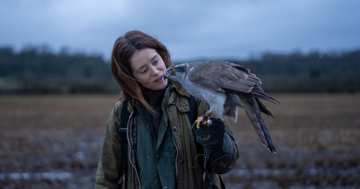 Filmrecensie: In ‘H is for Hawk’ maakt een flapperend roofdier elke ...