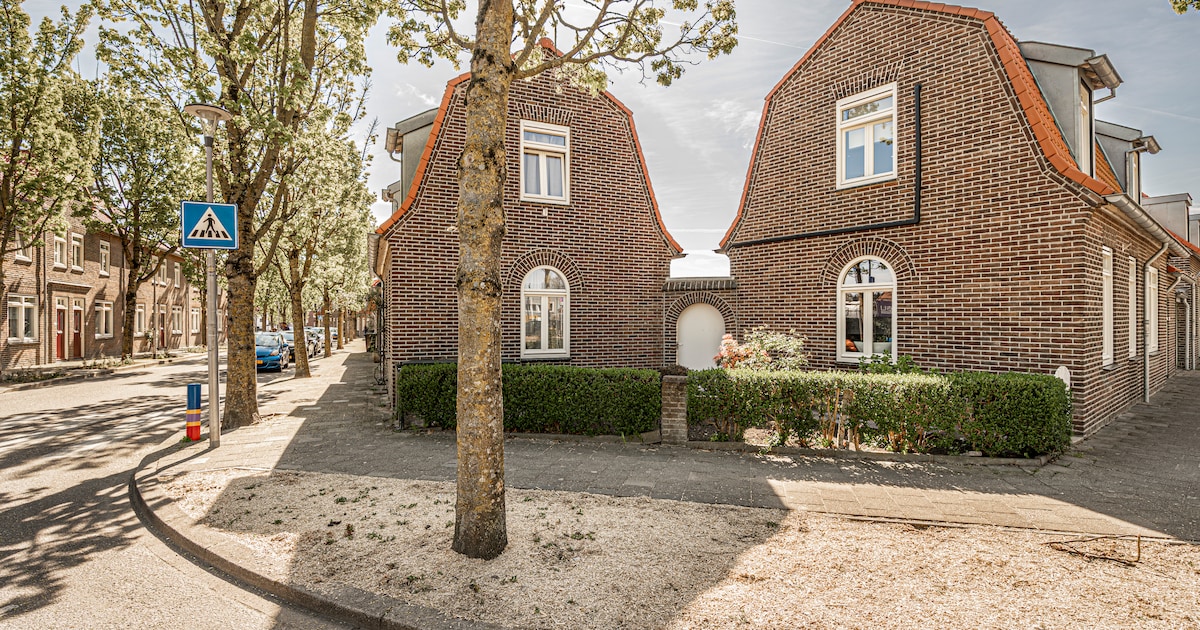 De Limburgse mijnwerkershuisjes wil iedereen wel behouden. Maar wie gaat dat betalen?