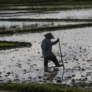 El Niño begonnen volgens Japanse dienst, forse gev