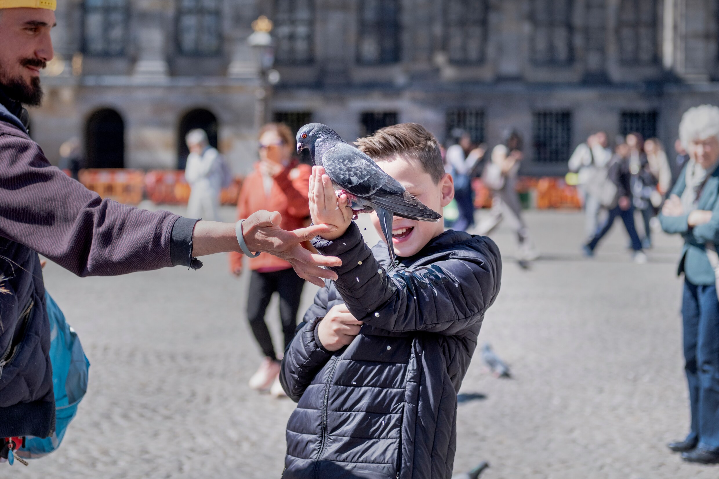Stadsduiven worden gezien als luidruchtig, vies en dom. Onterecht ...