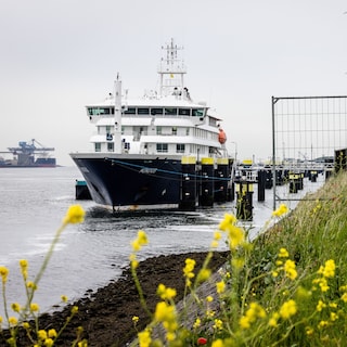 Argentinië breidt onderzoek naar oorsprong hantavirus op cruiseschip Hondius uit