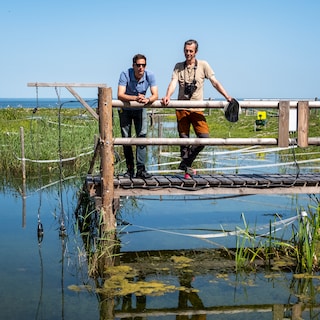 De nieuwe moerasnatuur bij Andijk is goed voor de biodiversiteit én voor schoon drinkwater