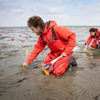De jonge Sea Rangers brengen nieuw leven in kustwateren