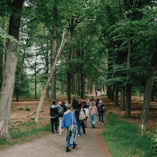 Een retourtje bos tegen stress en eenzaamheid? Instappen op 