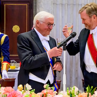 De Duitse president werd van Poetin-vriend tot gew