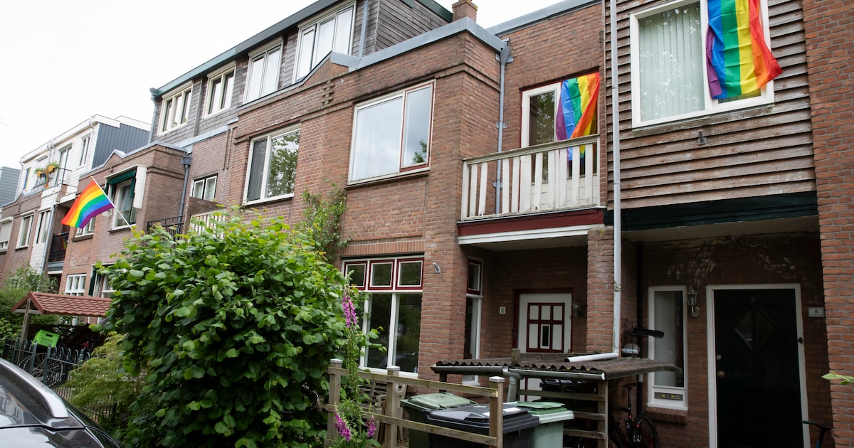 Haarlemse straat houdt steunactie voor bedreigde queer-buurjongen