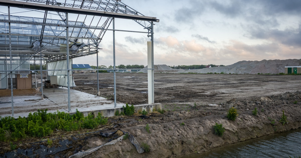 Een pillenfabriek van 3 miljard? Dan wil Katwijk éérst een oplossing voor het kruispunt