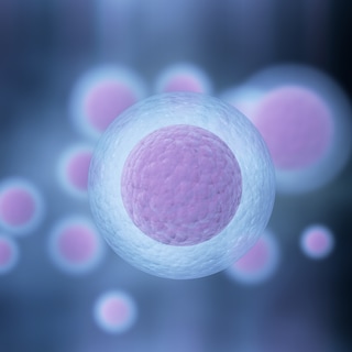 Nauwgezette manipulatie van embryo-DNA kan begrip van ziektes vergroten