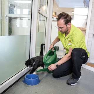IJsjes voor de honden en icepacks voor de konijnen: het dierenasiel heeft de handen vol tijdens het tropische weer