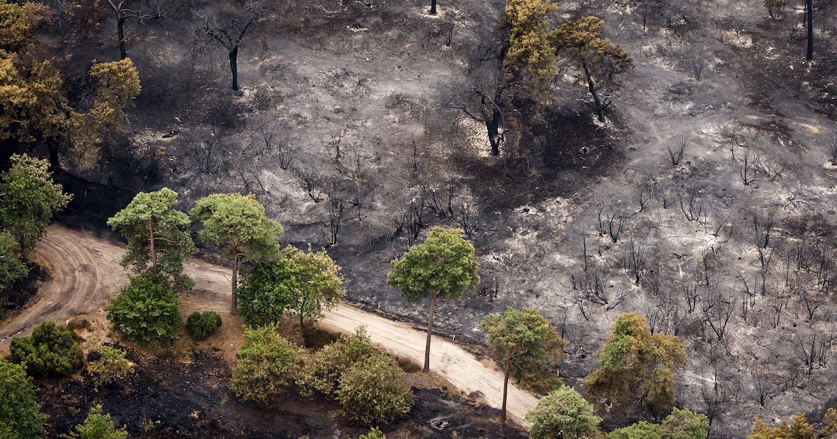 Live klimaat: Blushelikopter Defensie naar Ouddorp om natuurbrand te bestrijden
