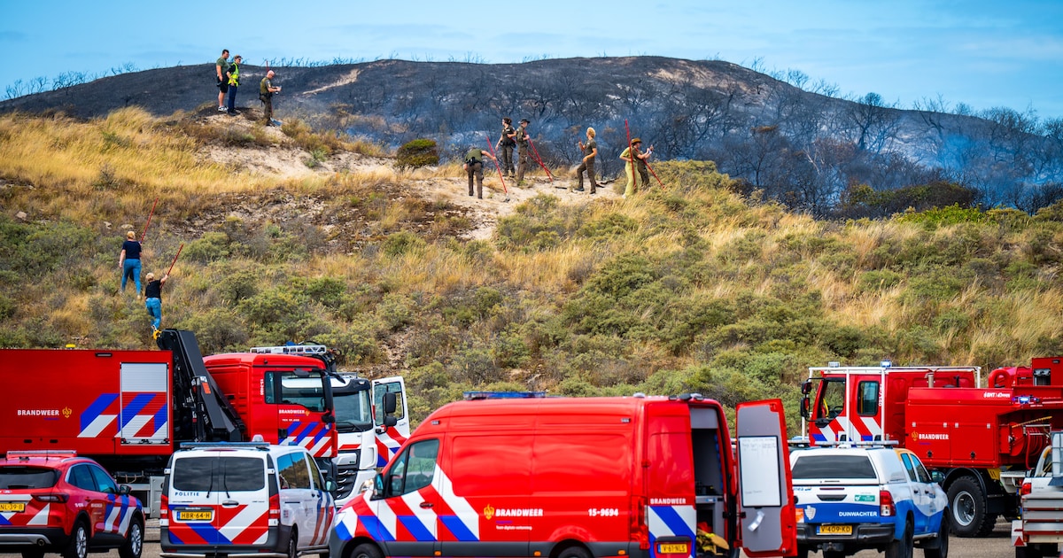 Branden duinen anders dan bossen?