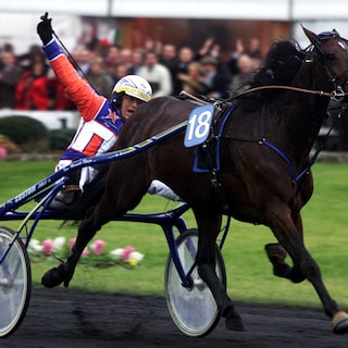 Varenne (1995 - 2026) was het snelste drafpaard ooit. ‘Een Ferrari met hersens’