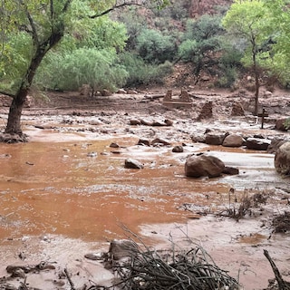 Een dode en zeker 15 vermisten na overstromingen in Grand Canyon
