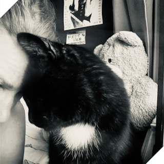 Janneke Siebelink moest kat Jimmy laten inslapen: ‘Het verlies van een dier gaat ook over wie jij bent zonder hem’